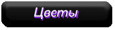 цветы