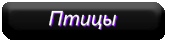 птицы