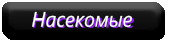 насекомые